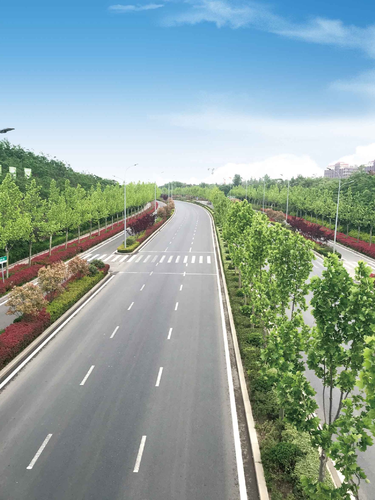 青岛市黄岛区团结路