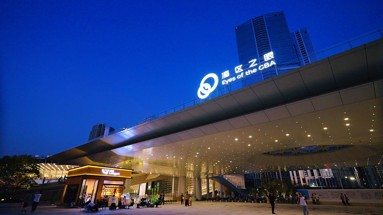 深圳湾区之眼(4) 拷贝.jpg